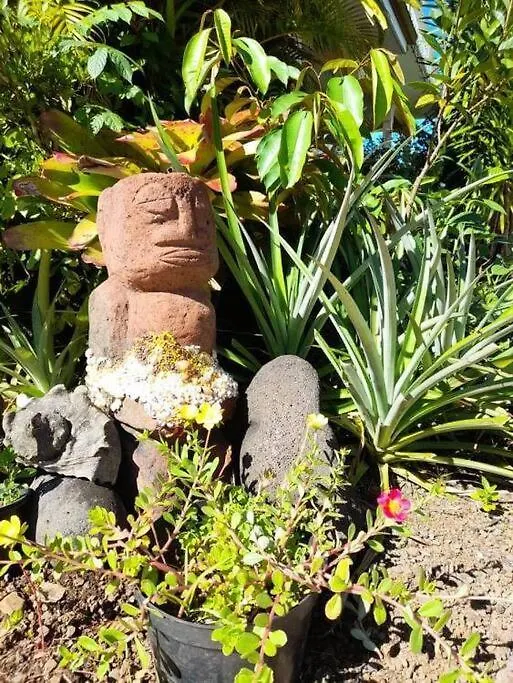 Te Mana Lodge Taravao アパート